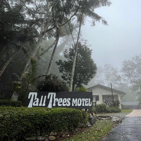 Tall Trees Motel Mountain Retreat Mount Tamborine Exterior foto