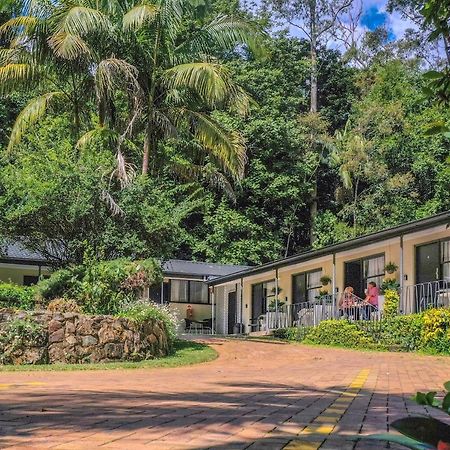 Tall Trees Motel Mountain Retreat Mount Tamborine Exterior foto